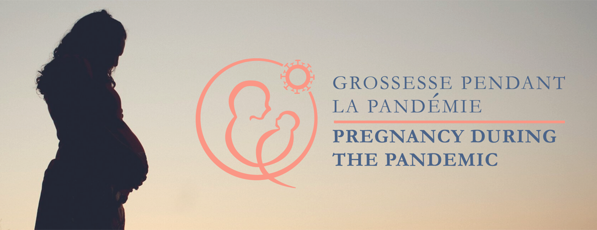A landscape photographic style image of a silhouette of a female presenting person who is pregnancy. The logo the Pregnancy During the Pandemic project is overlayed on the image.